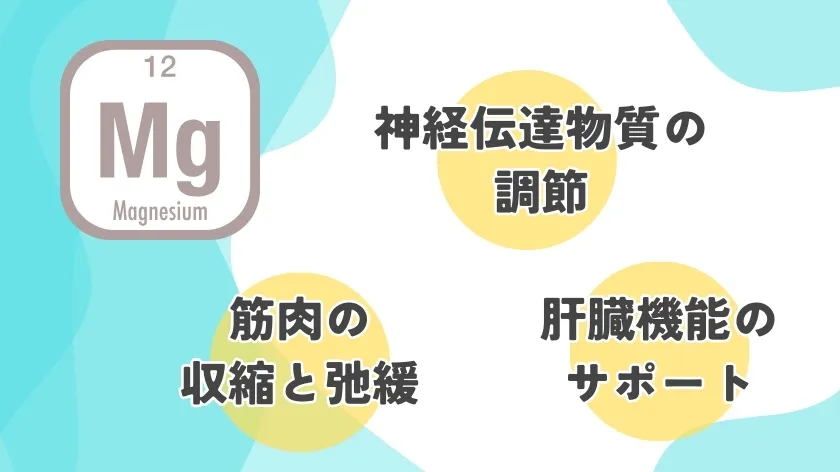 マグネシウムで疲れをサポート?！期待できる効果や取り入れ方