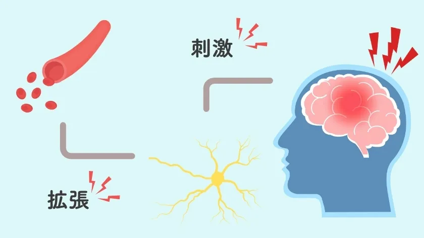 【マグネシウム不足と片頭痛】原因や改善策、論文などをご紹介します