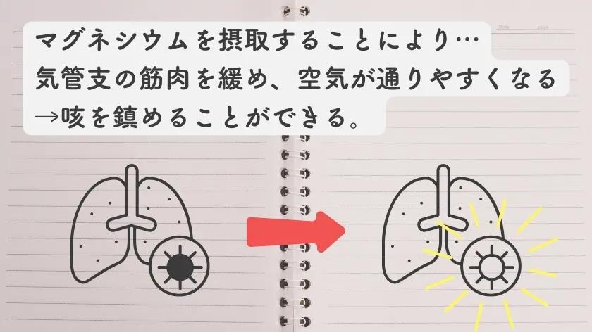 マグネシウムと咳の意外な関係⁉︎仕組みや論文などもご紹介